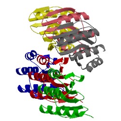 Image of CATH 1kaf
