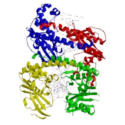 Image of CATH 1kc6