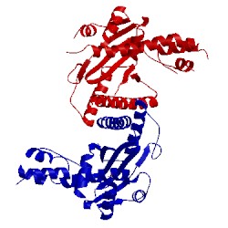 Image of CATH 1kcf