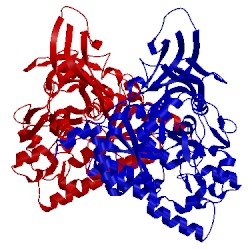 Image of CATH 1kcx