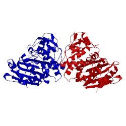 Image of CATH 1kds