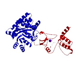 Image of CATH 1kfe