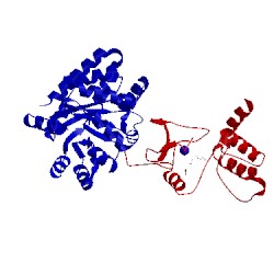 Image of CATH 1kfk