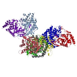 Image of CATH 1kfl