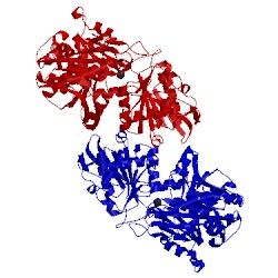 Image of CATH 1kfq