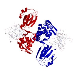 Image of CATH 1kfv