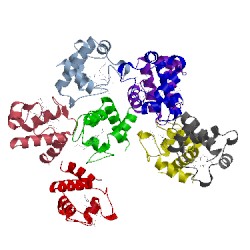 Image of CATH 1kib