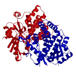 Image of CATH 1kim