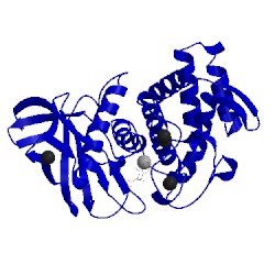 Image of CATH 1kjp