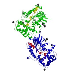 Image of CATH 1kjy
