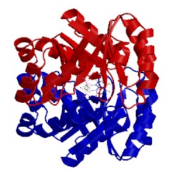 Image of CATH 1km1