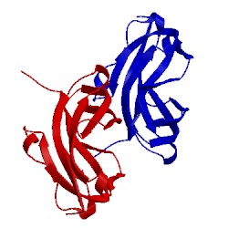 Image of CATH 1kmt