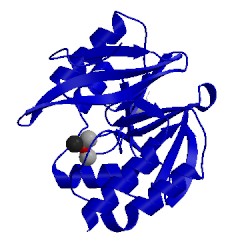 Image of CATH 1ko3