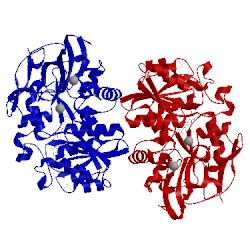 Image of CATH 1kol