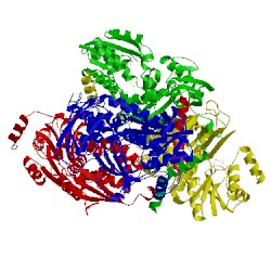 Image of CATH 1kor