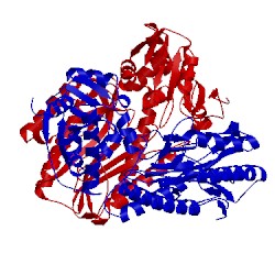 Image of CATH 1kp0