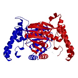 Image of CATH 1kp9
