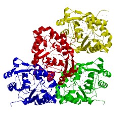 Image of CATH 1kpg