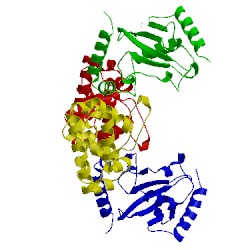 Image of CATH 1kps