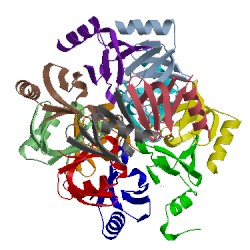 Image of CATH 1kq1