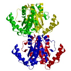 Image of CATH 1kqb