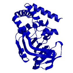 Image of CATH 1ks9