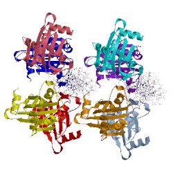 Image of CATH 1ksx