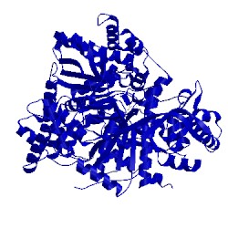 Image of CATH 1kti