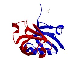 Image of CATH 1kwa