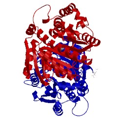 Image of CATH 1kwm