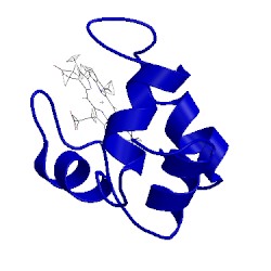 Image of CATH 1kx2