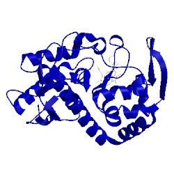 Image of CATH 1kxn