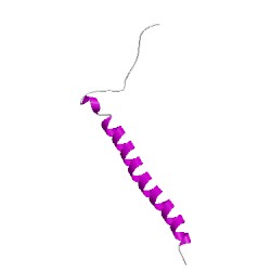 Image of CATH 1kyoP01