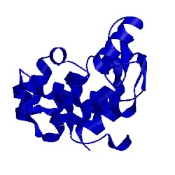 Image of CATH 1l11