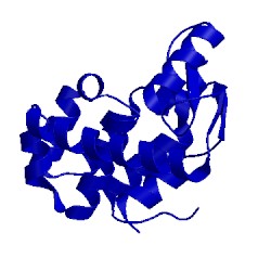 Image of CATH 1l16