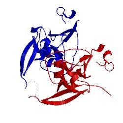 Image of CATH 1l1d