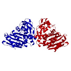 Image of CATH 1l2s