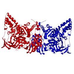 Image of CATH 1l5j