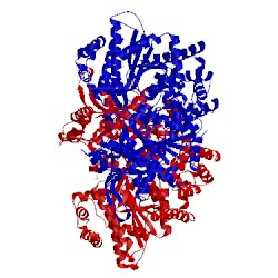 Image of CATH 1l5s