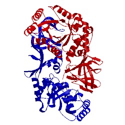 Image of CATH 1l6g