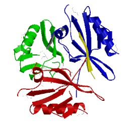 Image of CATH 1l6o