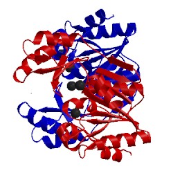 Image of CATH 1l6r
