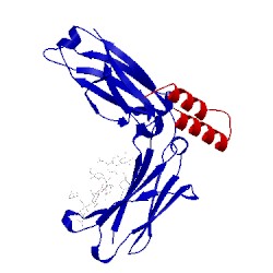 Image of CATH 1l6x