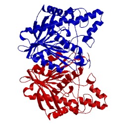 Image of CATH 1l7a