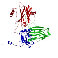 Image of CATH 1laj
