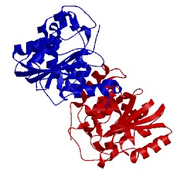 Image of CATH 1lbe