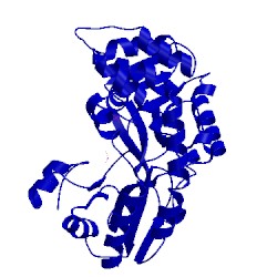 Image of CATH 1lc5