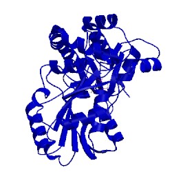Image of CATH 1lc8