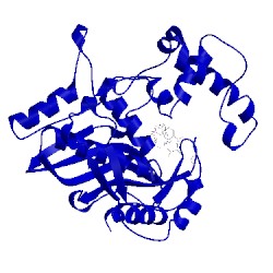 Image of CATH 1lca