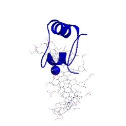 Image of CATH 1lcd